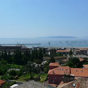 https://misel.primorje-gorskikotar.com